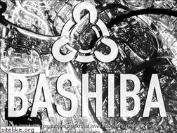 Sites similar to bashiba.com