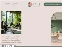 felis-energieberatung.de